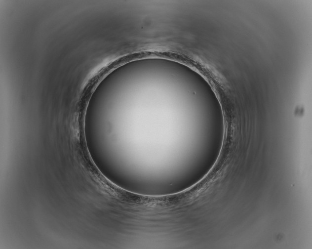 X0000097471262200802221228