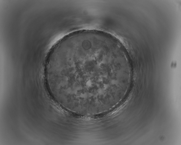 X0000097471263200802221228