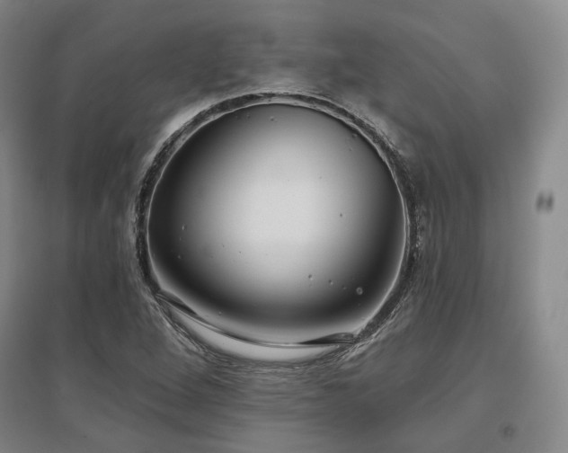 X0000097471264200802221228