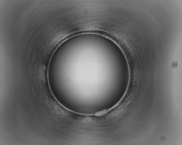 X0000097471265200802221228