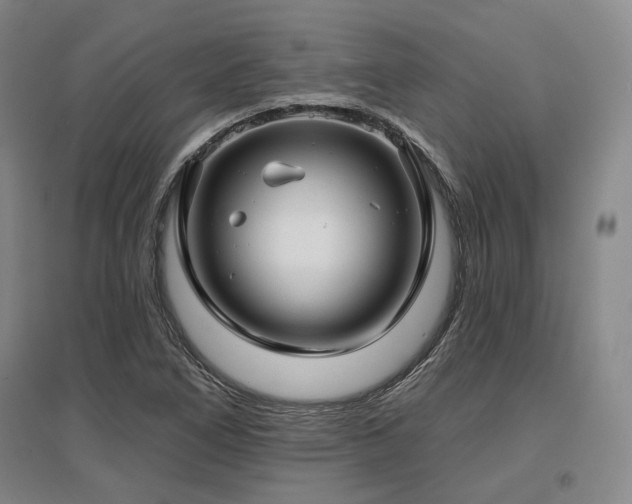 X0000097471266200802221228
