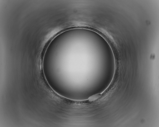X0000097471269200802221228