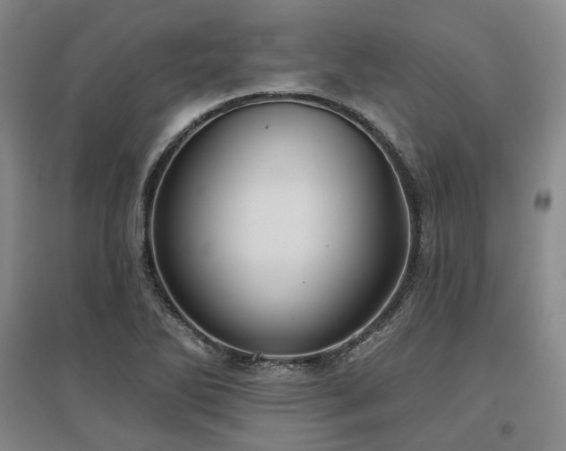 X0000097471270200802221228