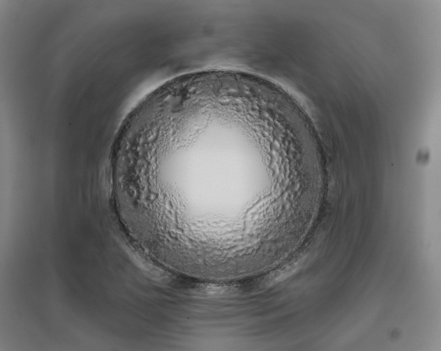 X0000097471271200802221228