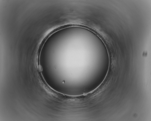 X0000097471272200802221228