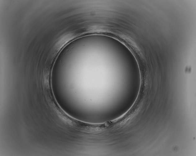 X0000097471273200802221228