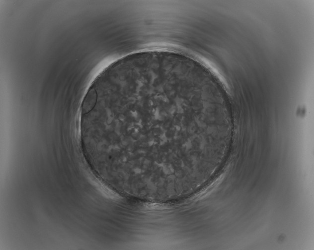 X0000097471275200802221228