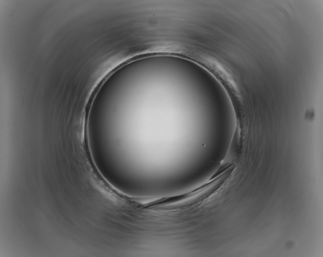 X0000097471276200802221228