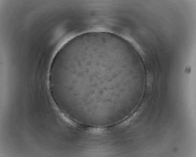 X0000097471278200802221228