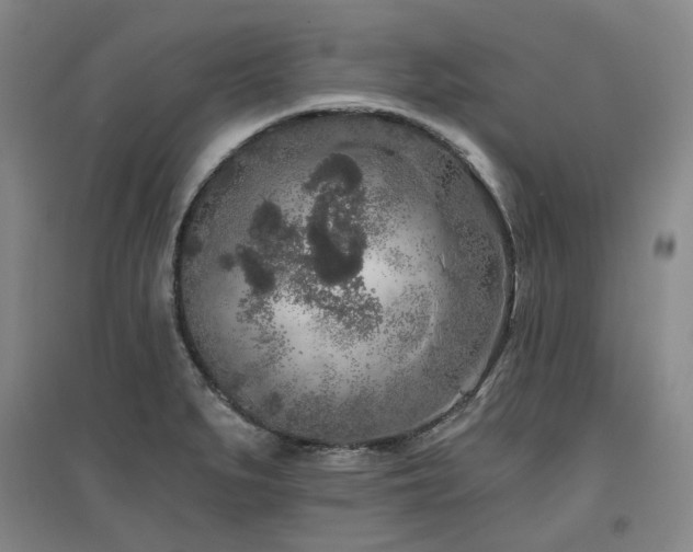 X0000097471279200802221228