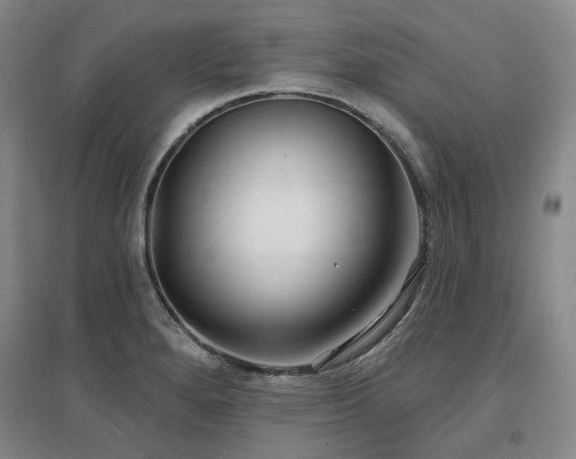X0000097471280200802221227