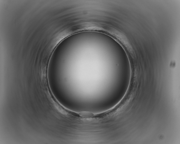 X0000097471281200802221227