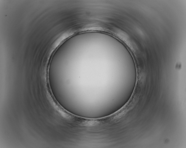 X0000097471282200802221227