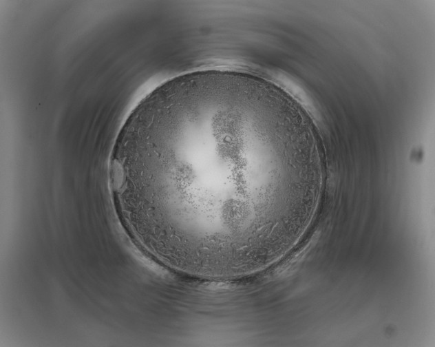 X0000097471283200802221227