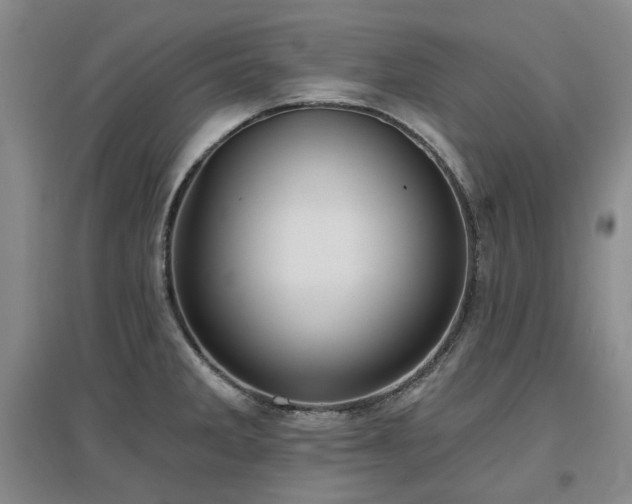 X0000097471285200802221227