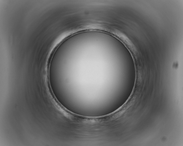 X0000097471286200802221227