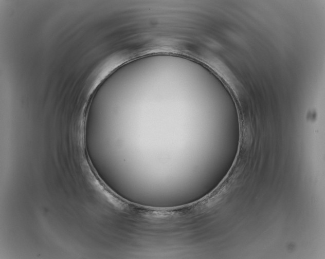 X0000097471290200802221227