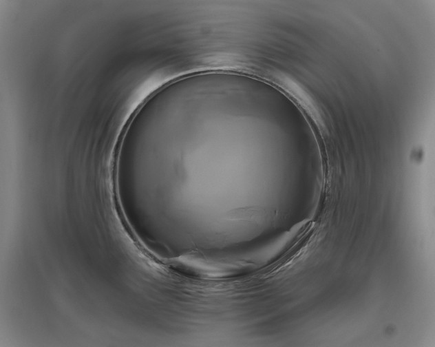 X0000097471291200802221227