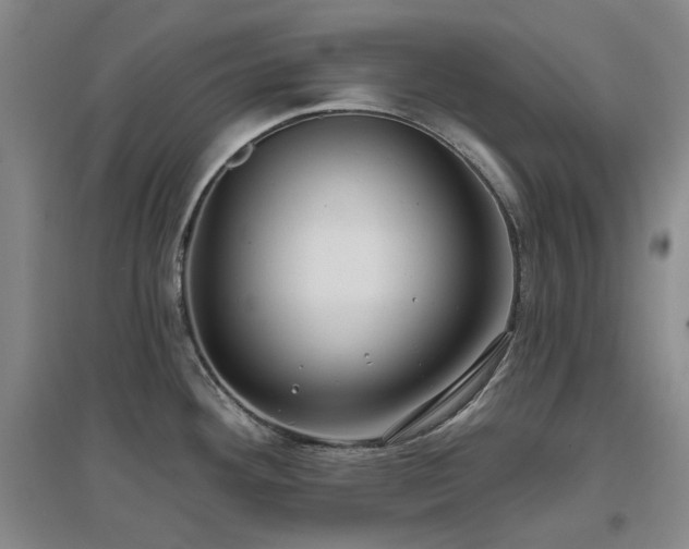 X0000097471292200802221227