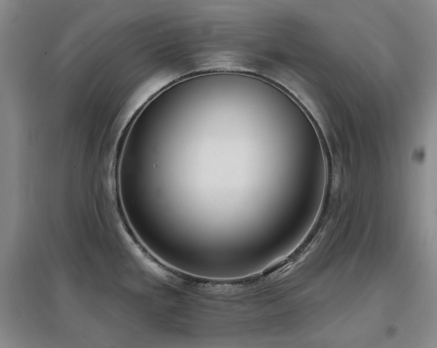 X0000097471293200802221227