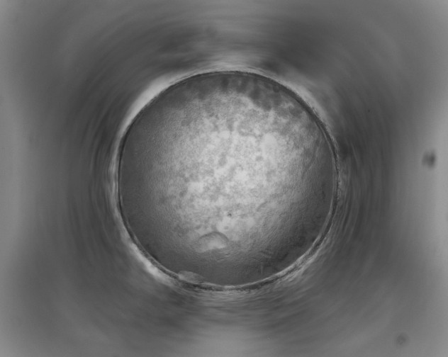 X0000097471294200802221227