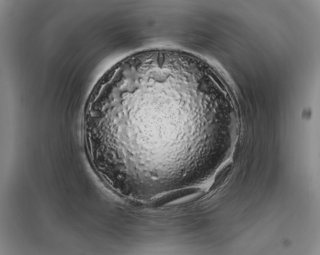 X0000097471295200802221227