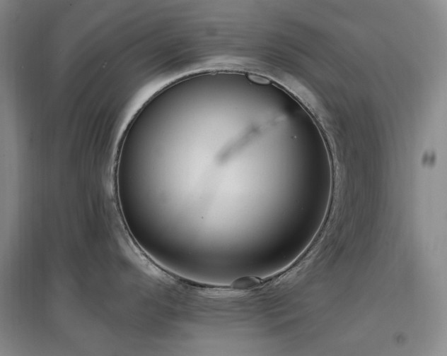 X0000097471296200802221227