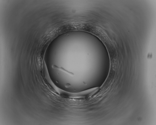 X0000097471298200802221227