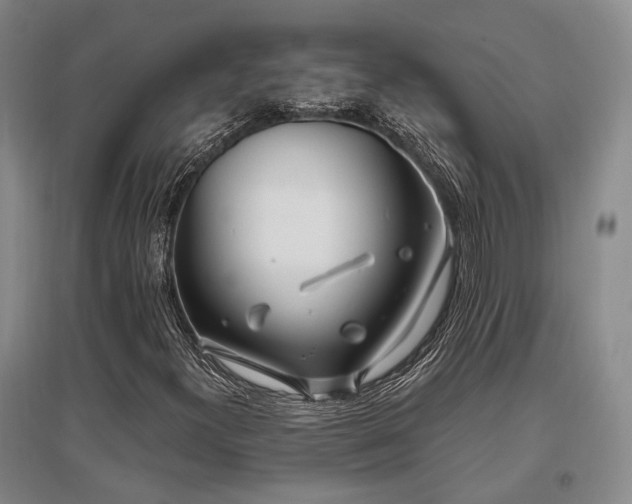 X0000097471300200802221227