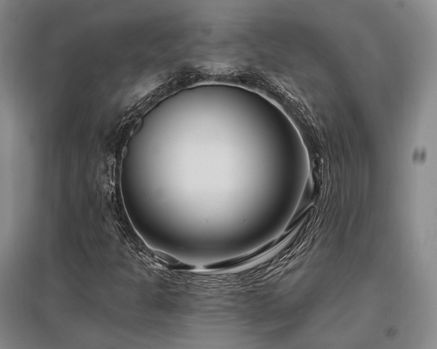 X0000097471301200802221227