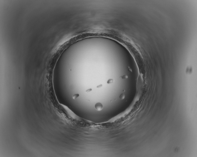 X0000097471304200802221227