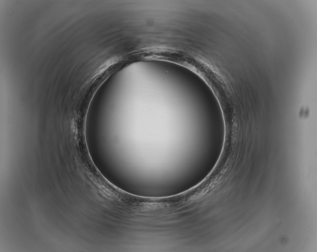 X0000097471305200802221227