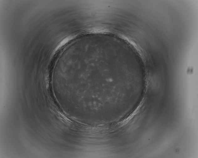 X0000097471306200802221227