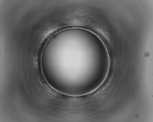 X0000097471307200802221227