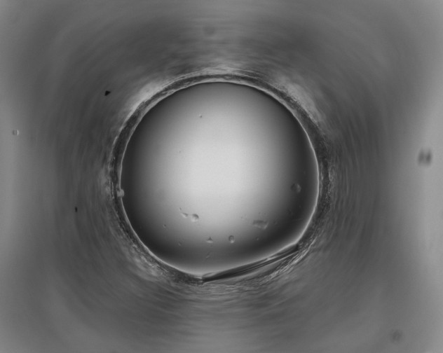 X0000097471308200802221227