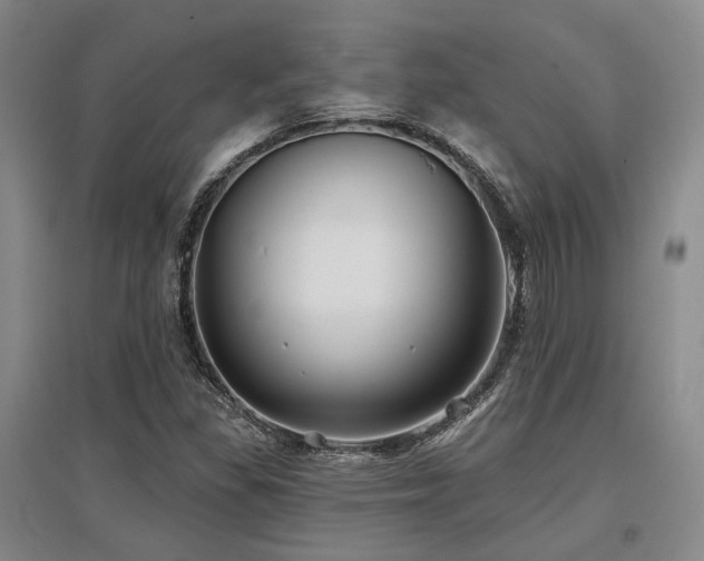 X0000097471309200802221227