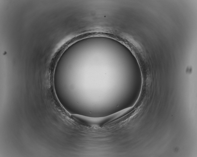 X0000097471310200802221227
