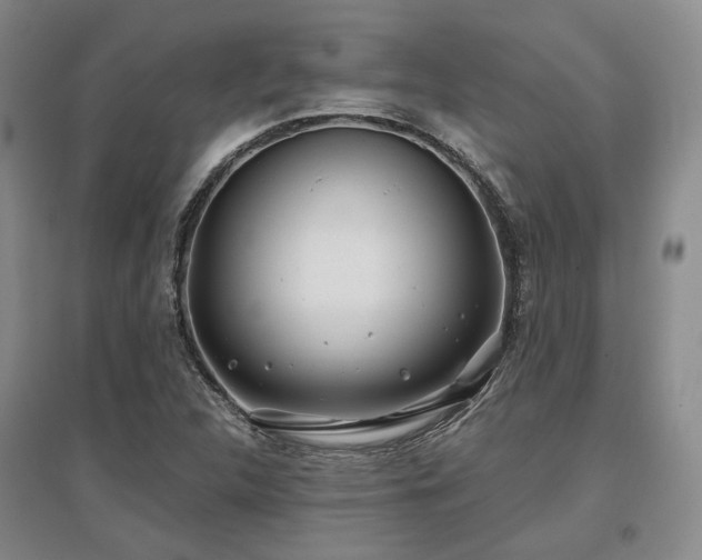 X0000097471312200802221227