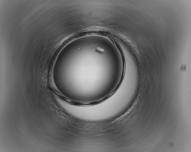 X0000097471313200802221227