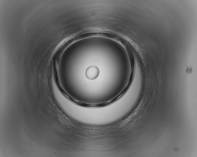 X0000097471314200802221227