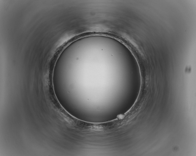 X0000097471315200802221227