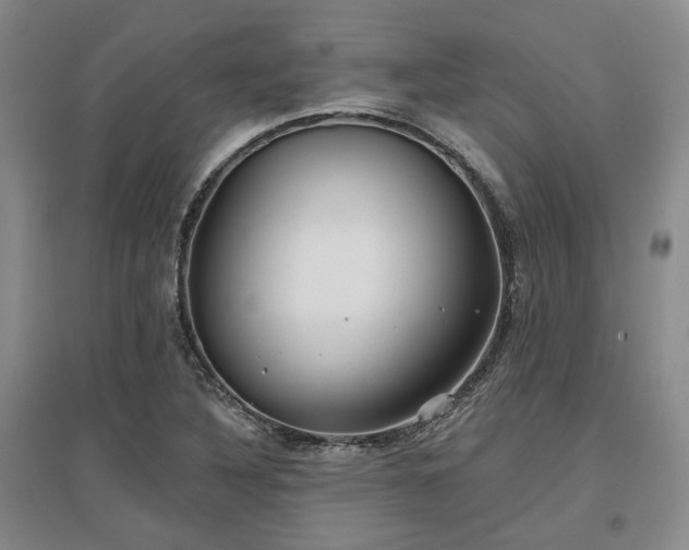 X0000097471316200802221227