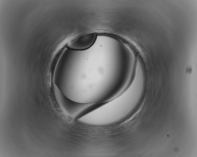 X0000097471317200802221227