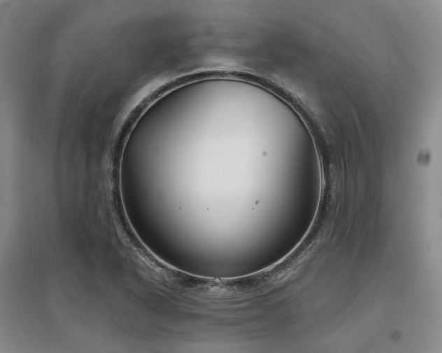 X0000097471318200802221227