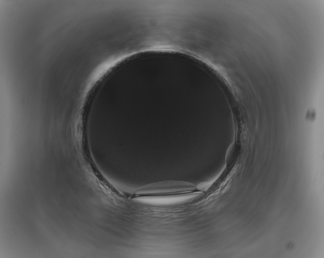 X0000097471319200802221227