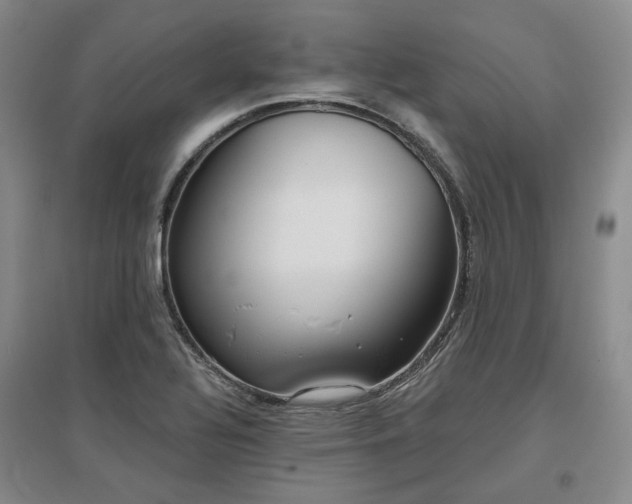 X0000097471320200802221227