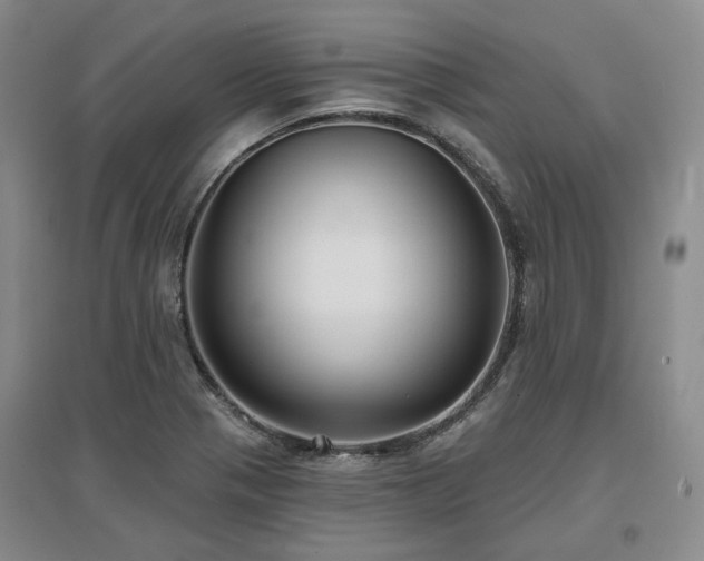 X0000097471321200802221227