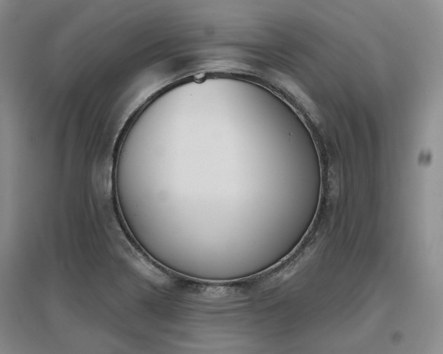 X0000097471322200802221227