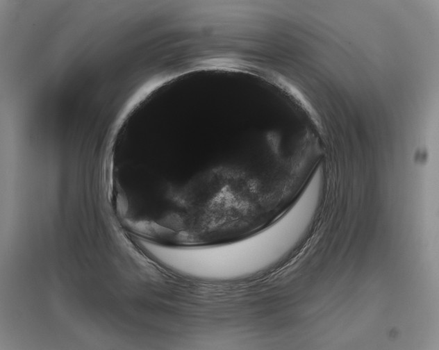 X0000097471323200802221227