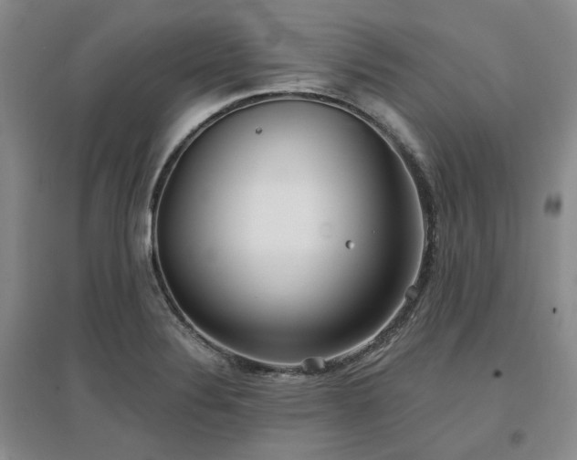 X0000097471324200802221227
